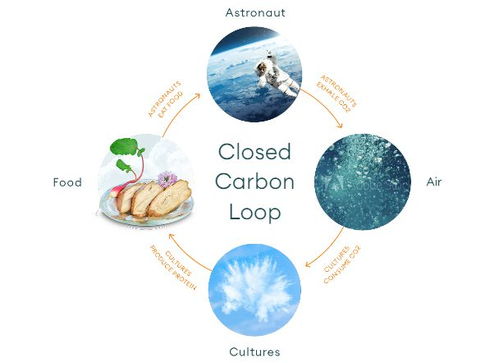 空氣造肉 生物技術顛覆食品科技，人類飲食革命或將開啟
