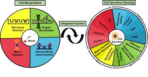 基于微流體系統的單細胞生物檢測技術的發展與展望