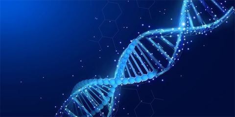 微生物DNA的悄然讀取 生物技術(shù)開發(fā)中的細(xì)胞與微生物“偶遇”